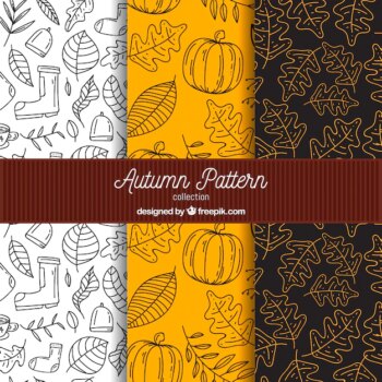 Free Vector | Autumn patterns collection with elements free vector