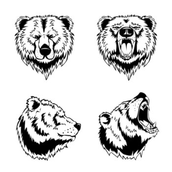 Free Vector | Bear head hand drawn engravings