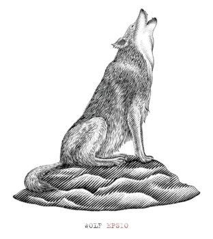 Free Vector | Black and white wolf howling in engraving style