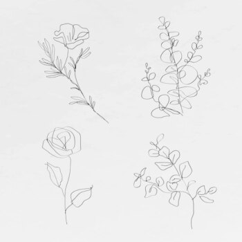 Free Vector | Botanic line art flowers vector minimal abstract drawings collection