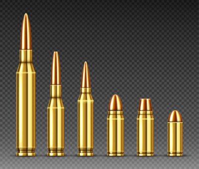 Free Vector | Bullets of different calibers stand in row, ammo
