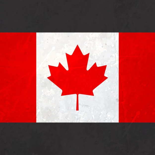 Free Vector | Canada flag with texture