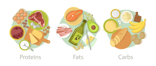 Free Vector | Carbohydrate, protein and fat food set. vector illustrations of nutrition categories. cartoon carb fibers in grains, cereal bread, energy meals of meat and eggs isolated on white. complex diet concept