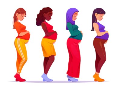 Free Vector | Cartoon pregnant women illustration illustration