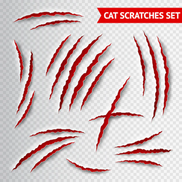 Free Vector | Cat scratches transparent