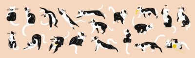 Free Vector | Cats character set with isolated images of similar black and white kitten pet in different poses vector illustration