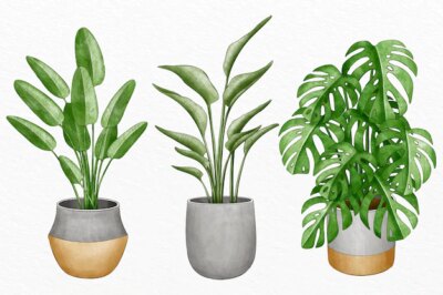 Free Vector | Collection of watercolor plants in pots