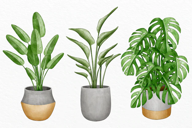 Free Vector | Collection of watercolor plants in pots