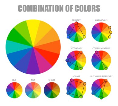 Free Vector | Color combination scheme infographic