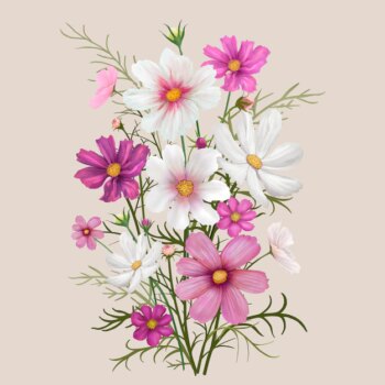 Free Vector | Colorful daisy flowers
