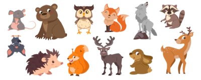 Free Vector | Cute forest animals and birds collection