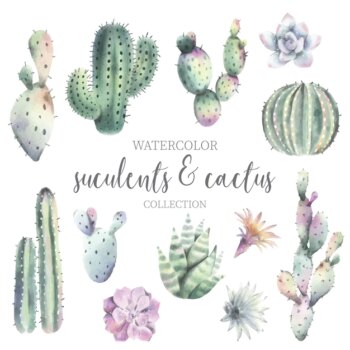 Free Vector | Cute watercolor cactus & suculent collection