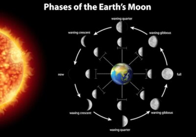 Free Vector | Diagram showing phases of the moon on earth