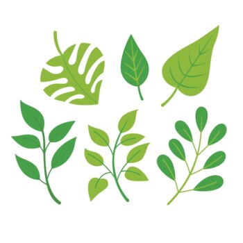 Free Vector | Different green leaves pack flat design