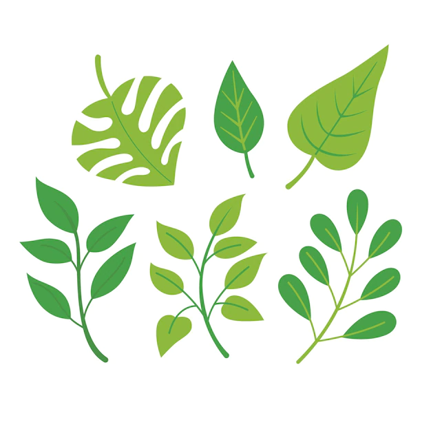 Free Vector | Different green leaves pack flat design