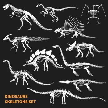 Free Vector | Dinosaurs skeletons set