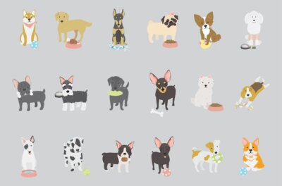 Free Vector | Dog breed collection vector