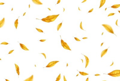 Free Vector | Falling flying autumn leaves background. realistic autumn yellow leaf isolated on white background. fall sale background. vector illustration