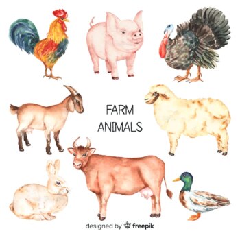 Free Vector | Farm animal collectio