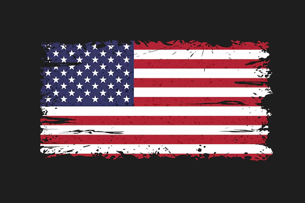 Free Vector | Flat design grunge american flag