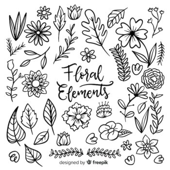Free Vector | Floral element collectio