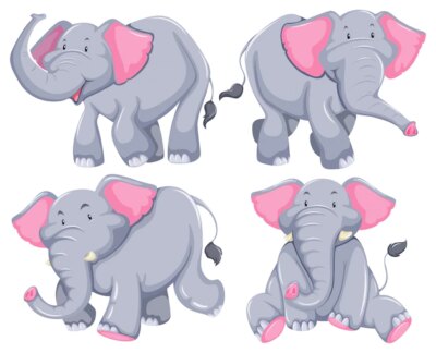 Free Vector | Four elephants in diferent poses