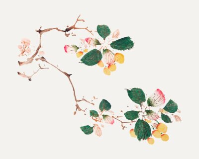 Free Vector | Fruit vector botanical art print, remixed from artworks by hu zhengyan