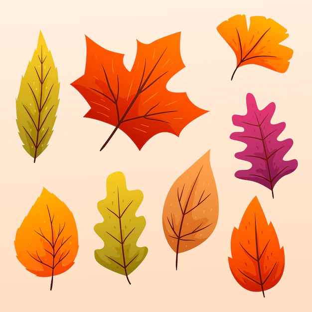 Free Vector | Gradient autumn leaves collection