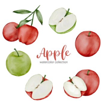Free Vector | Green and red apple in watercolor collection, full of fruit and cut in half