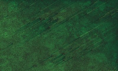 Free Vector | Green diagonal grunge stripes background