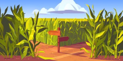 Free Vector | Green maize plants and sandy road between corn fields, wooden post with arrows and traffic signs. farm agricultural landscape, natural scene cartoon illustration.