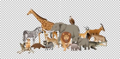 Free Vector | Group of wild african animal on transparent background