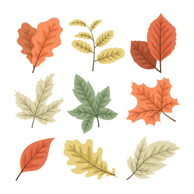 Free Vector | Hand drawn autumn leaves collection