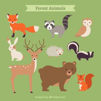 Free Vector | Hand drawn forest animal collection