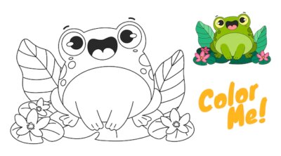 Free Vector | Hand drawn frog for coloring