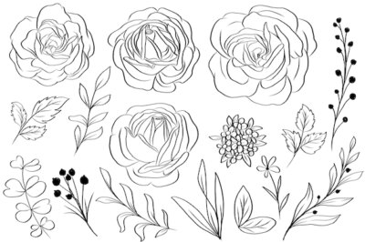 Free Vector | Hand drawn rose and leaves floral isolated clipart