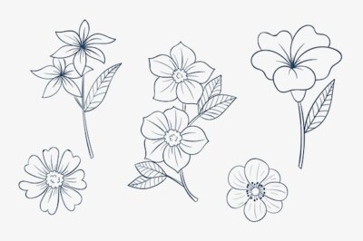 Free Vector | Hand drawn simple flower outline