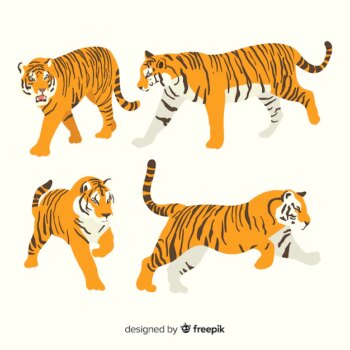 Free Vector | Hand drawn wild tiger collection