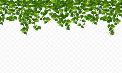 Free Vector | House realistic plants