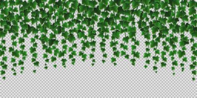 Free Vector | Ivy climbing vines frame, green leaves of creeper