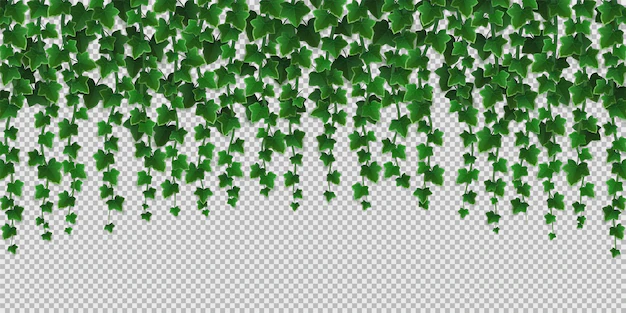 Free Vector | Ivy climbing vines frame, green leaves of creeper