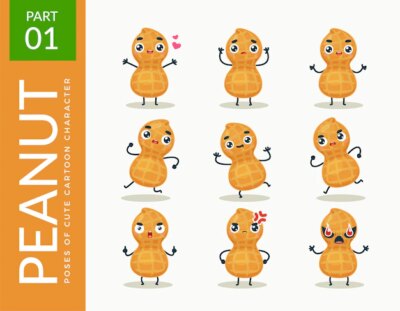 Free Vector | Mascot images of the peanut. set.