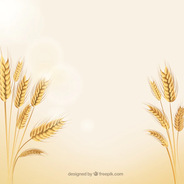 Free Vector | Natural wheat ears