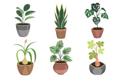 Free Vector | Organic flat design houseplant collection
