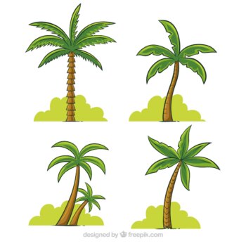 Free Vector | Pack of hand-drawn palm trees