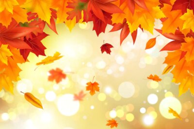 Free Vector | Realistic autumn background