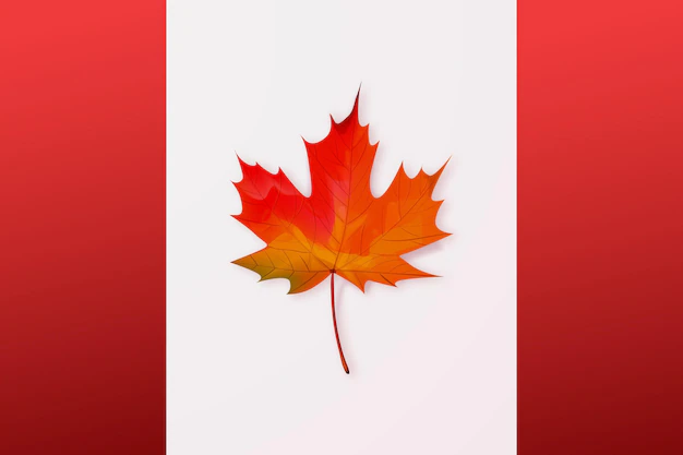 Free Vector | Realistic canada day illustration
