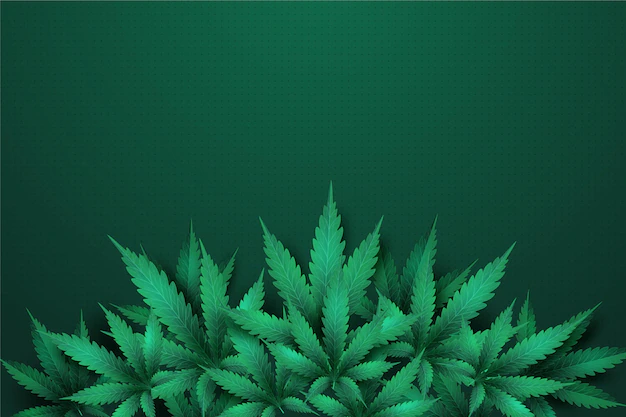 Free Vector | Realistic cannabis leaf background