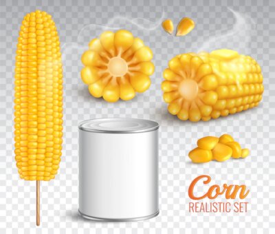 Free Vector | Realistic corn transparent set