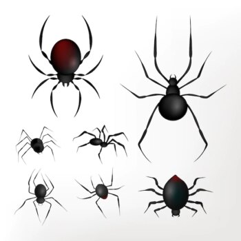 Free Vector | Realistic halloween spiders background